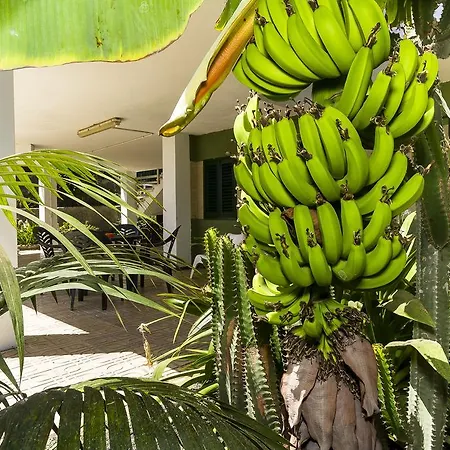 Casas Jumilla Apartment Playa del Ingles (Gran Canaria)